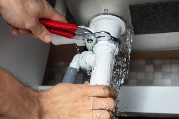 Best Water damage contractors near me  in Spruce Pine, NC
