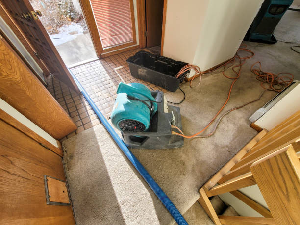 Best Residential water damage restoration  in Spruce Pine, NC
