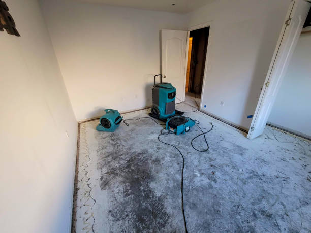 Best Emergency water damage restoration  in Spruce Pine, NC