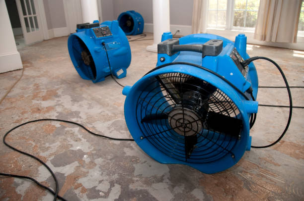 Best Flood restoration services  in Spruce Pine, NC