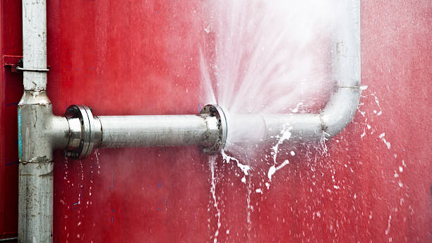 Best Professional water damage repair  in Spruce Pine, NC